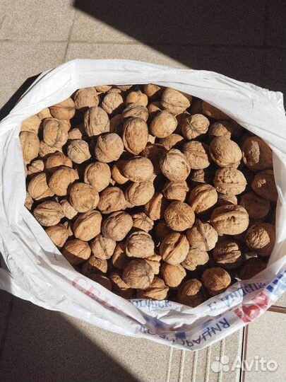 Орех грецкий