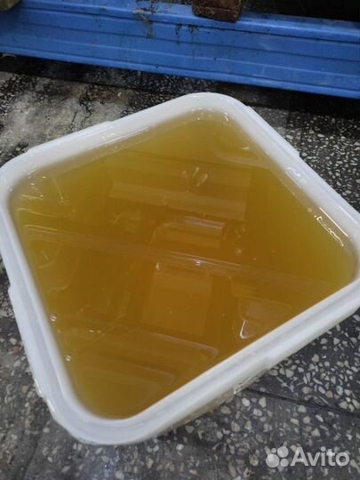 Натуральный свежий мёд акация Качка 2023