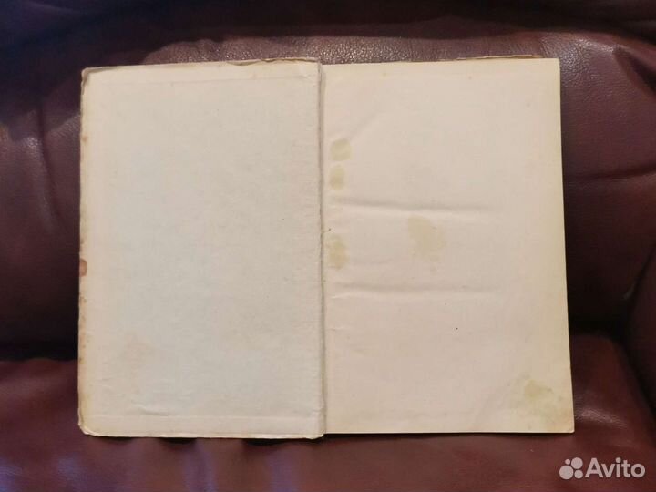 Руффини. Заговорщики. 1930г