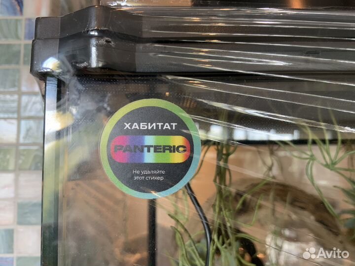 Террариум для хамелеона