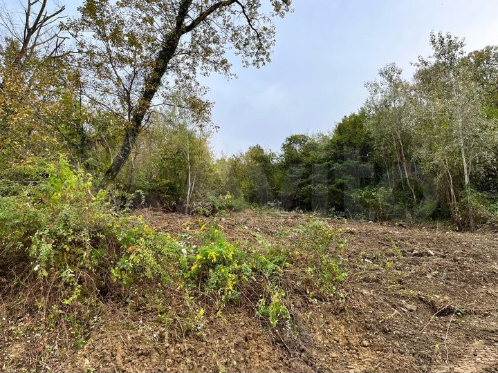 Участок 5,7 сот. (СНТ, ДНП)