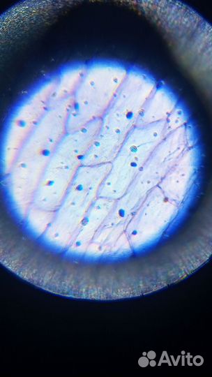 Микроскоп Levenhuk Labzz m101