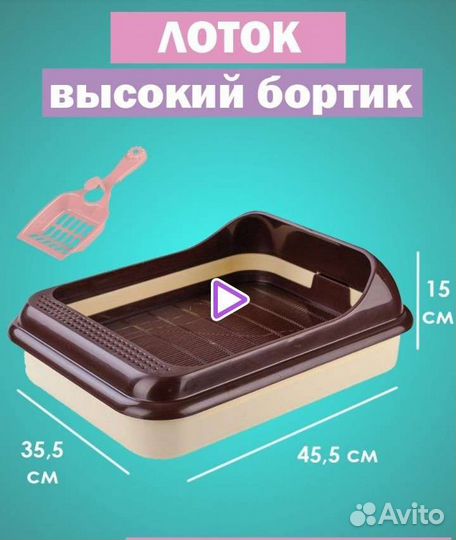 Товары для кошек