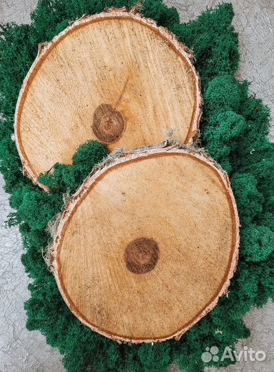 Слэб дерева и спилы