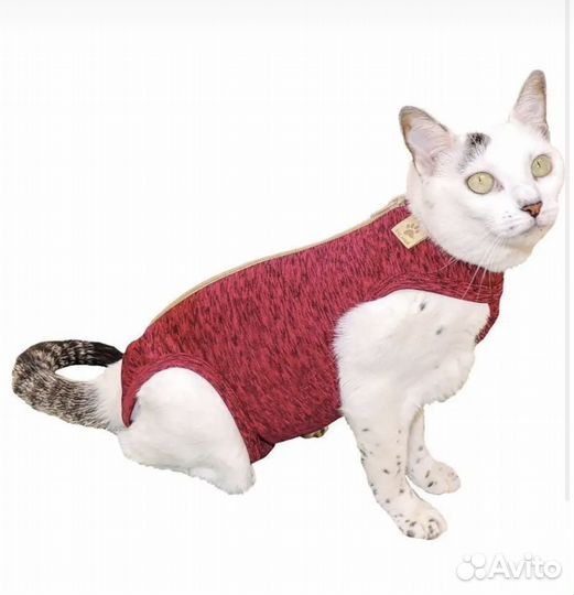 Новая попона для животных послеоперационная