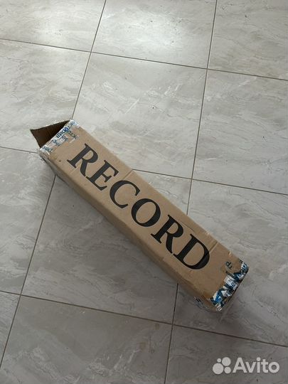 Скейтборд record
