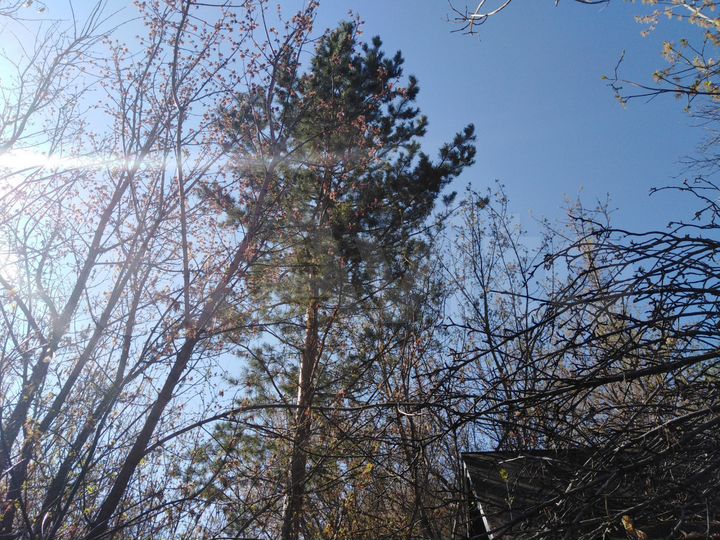 Дом 20 м² на участке 6 сот.