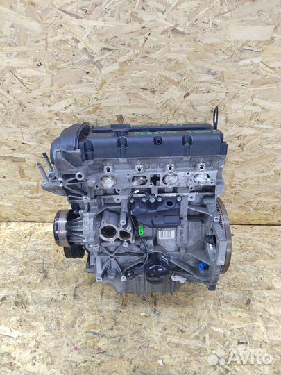 Двигатель Мотор Двс Ford focus 2 c-max shda