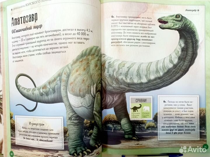 Динозавры книга детская