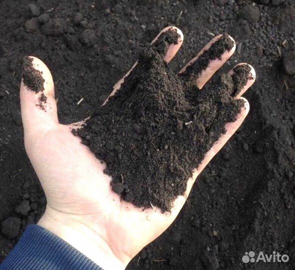 Перегной чернозем