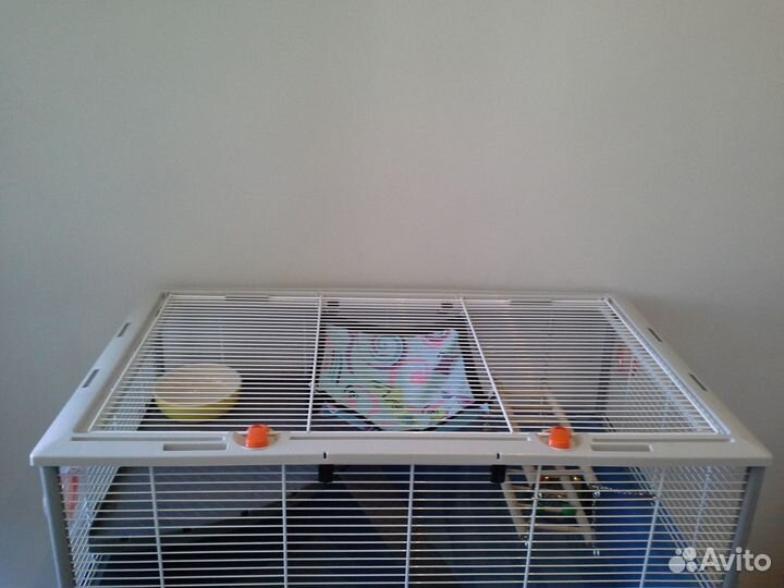 Клетки большие