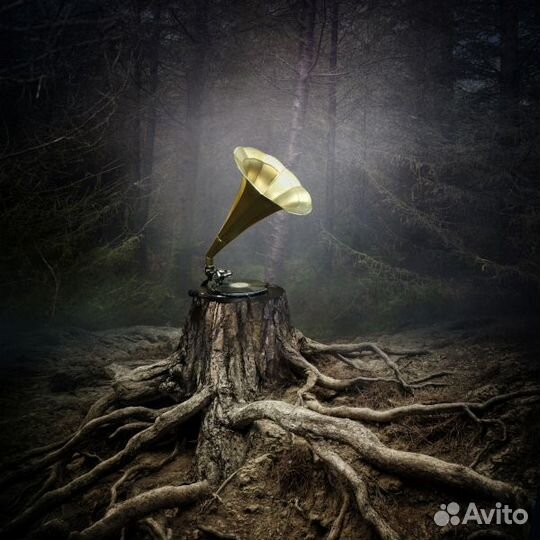 Виниловая пластинка Аквариум - Тор (180 Gram Black