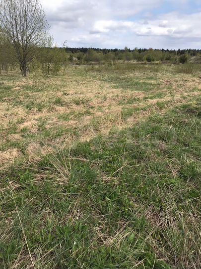 Участок 12,3 сот. (СНТ, ДНП)