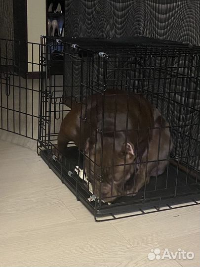 Вольер. Клетка для собак