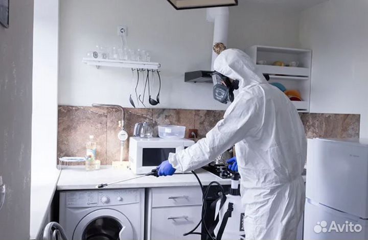 Уничтожение тараканов клопов и насекомых