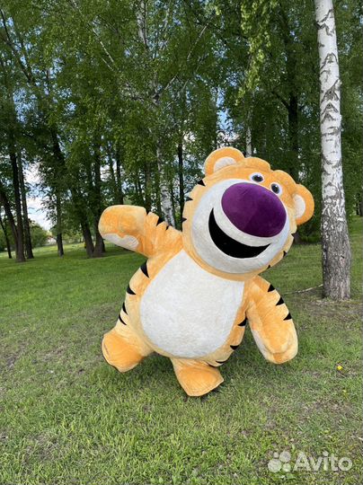 Тигр на праздник, день рождения