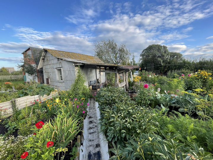 Участок 12 сот. (СНТ, ДНП)