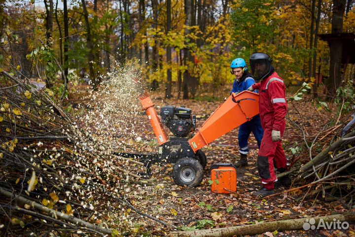 Спилить дерево