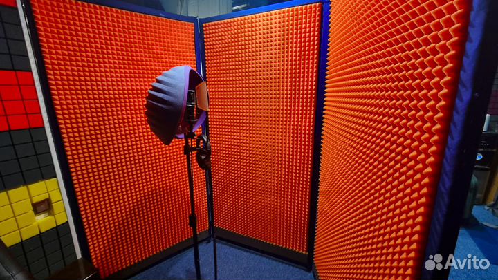 Студия звукозаписи того самого Игоря Нестеровича