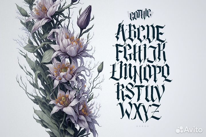 Готическая каллиграфия, шрифт