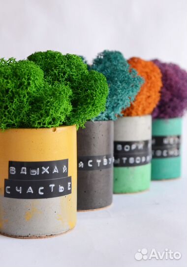 Бетонное кашпо + мох