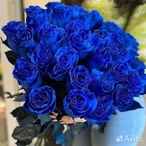 Синие розы Доставка цветов