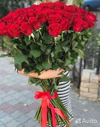 Высокие розы Гигантские розы 110