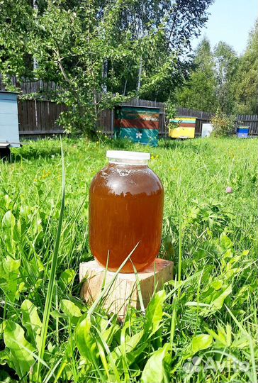 Мёд со своей пасеки, мёд в сотах
