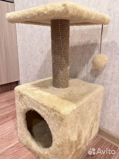 Когтеточка