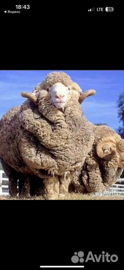 Постельный комплект