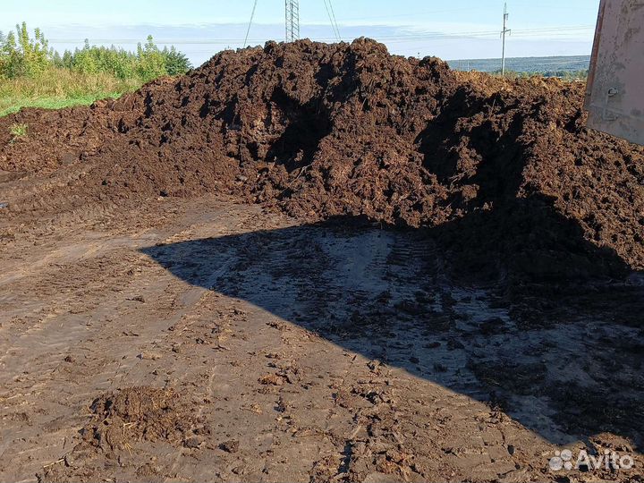 Навоз коровий