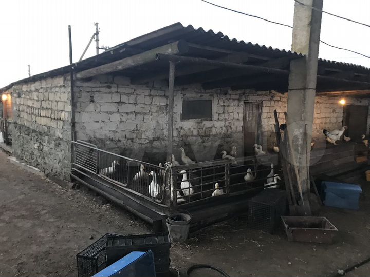 Участок 100 сот. (СНТ, ДНП)