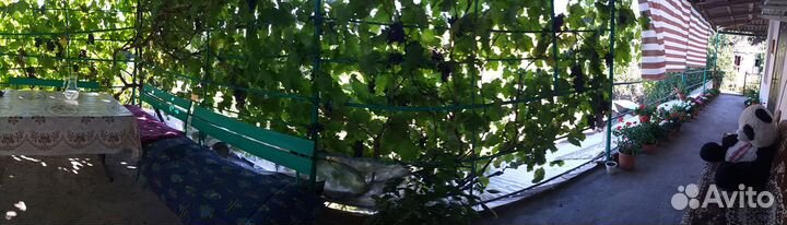 Отдых Абхазия Шицквара.Эшера Сухумский район