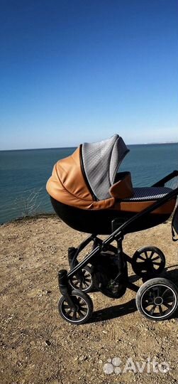 Коляска anex m type