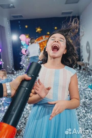 Серебряное шоу. Аниматор