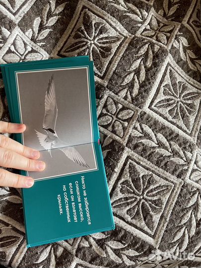 Книги разного жанра