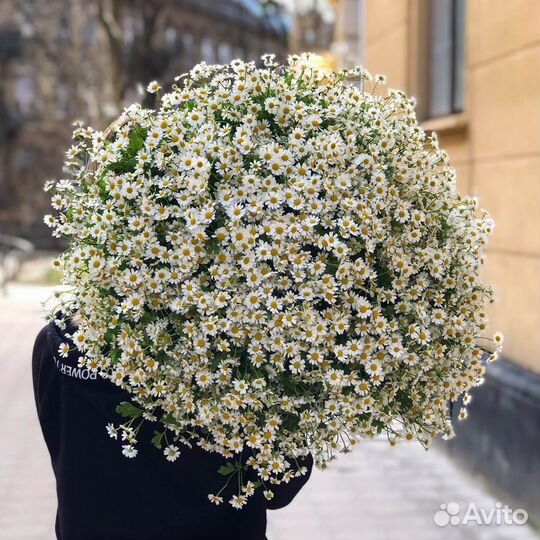 Ромашка букет