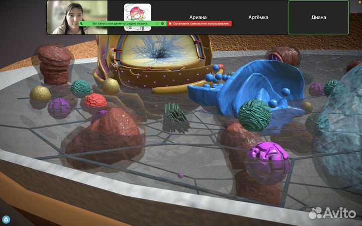 Репетитор по биологии ЕГЭ