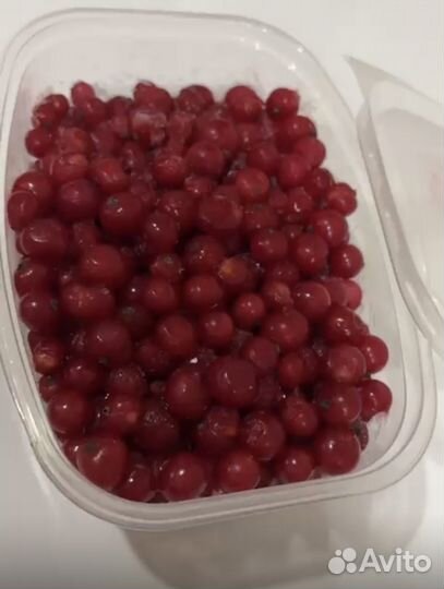 Продам черную и красную смородину (ягода)