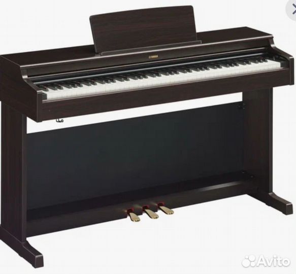 Yamaha arius 141