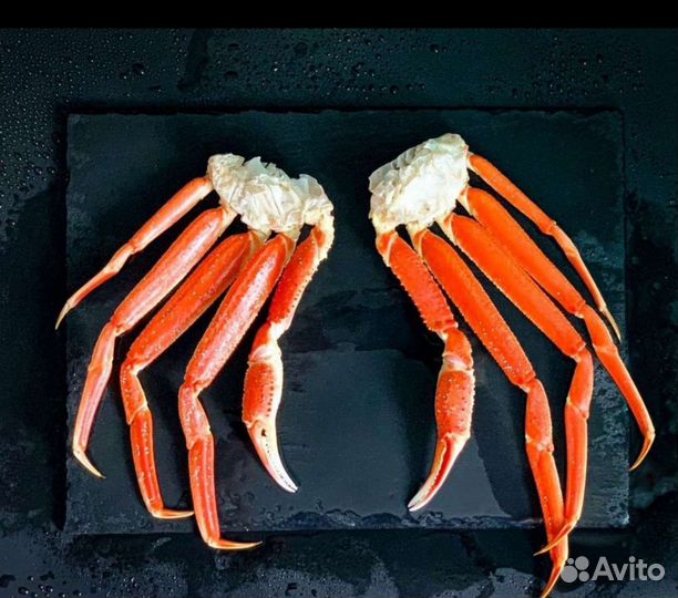 Конечности краба стригуна в/м