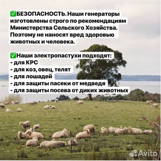 Электропастух с завода для молочных крс