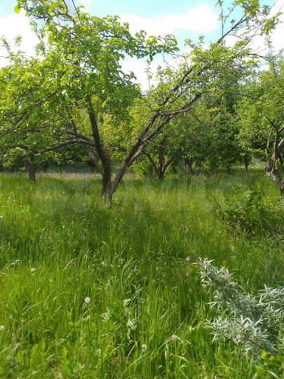 Дача 50 м² на участке 10 сот.