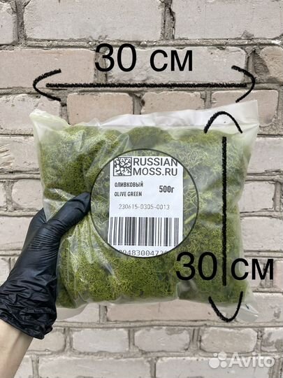 Стабилизированный мох, Тёмно-зелёный