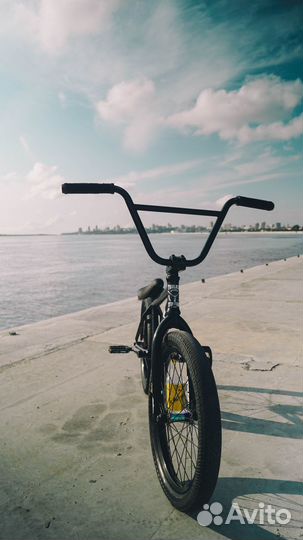 Bmx WTP envy