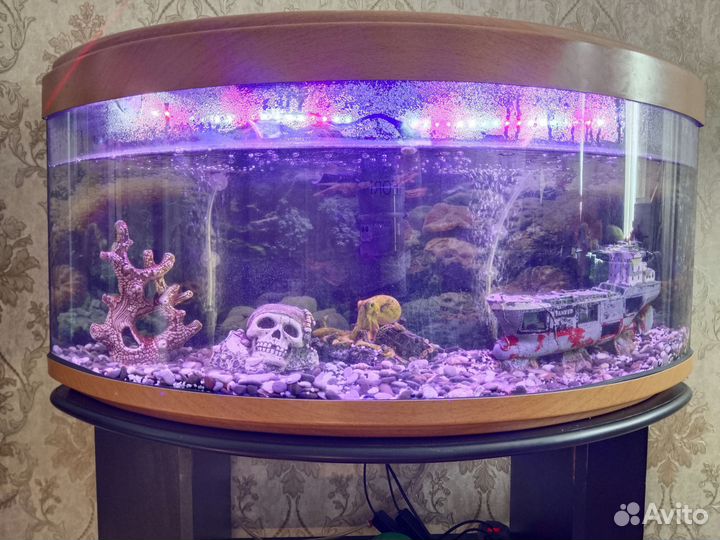 Аквариум
