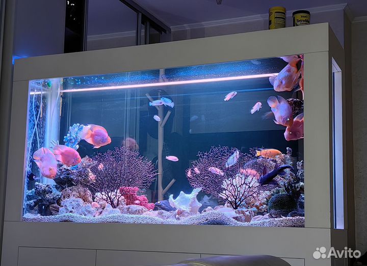 Аквариум с тумбой 400 литров