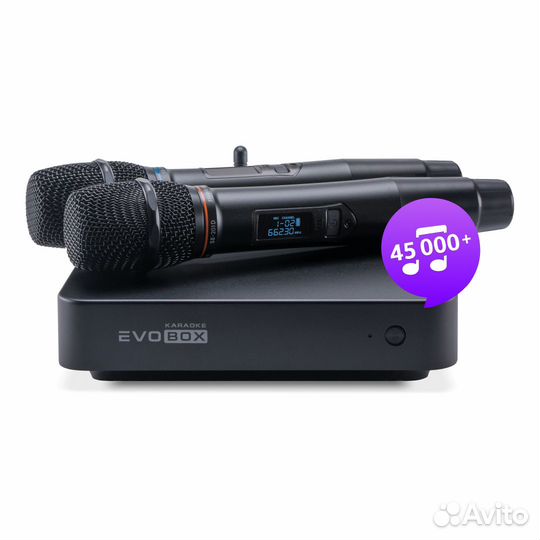 Караоке комплект EvoBox Plus EvoSound Sphere