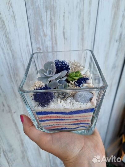 Флорариум комплемент