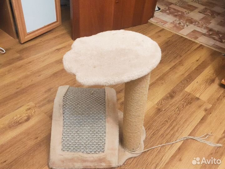 Когтеточка